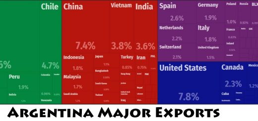 Argentina Major Exports