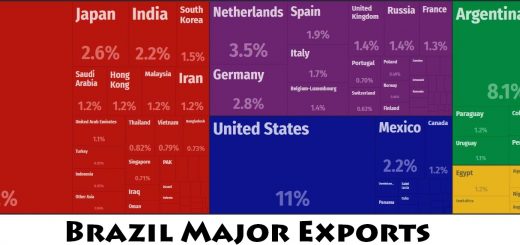 Brazil Major Exports