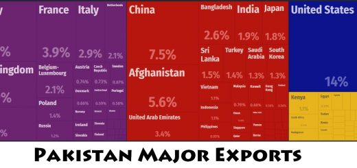 Pakistan Major Exports