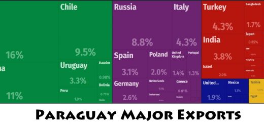 Paraguay Major Exports
