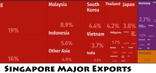 Singapore Major Exports