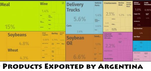 Top Products Exported by Argentina