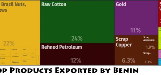 Top Products Exported by Benin