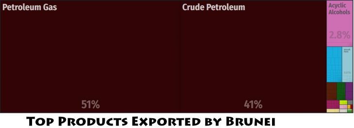 Top Products Exported by Brunei