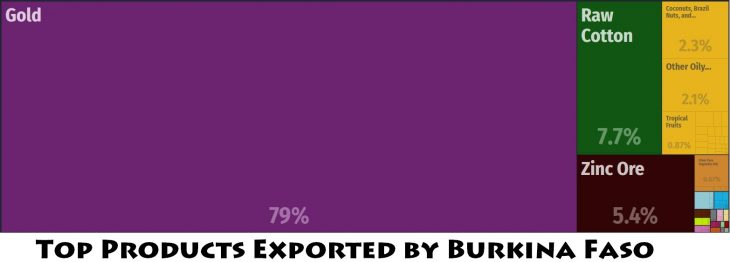 Top Products Exported by Burkina Faso