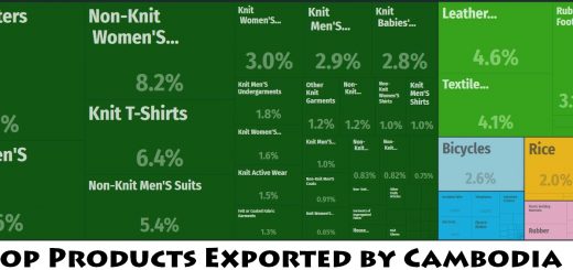 Top Products Exported by Cambodia