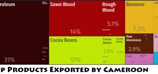 Top Products Exported by Cameroon