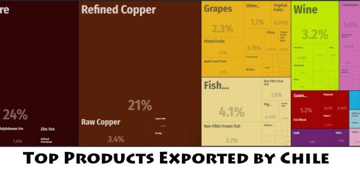 Top Products Exported by Chile