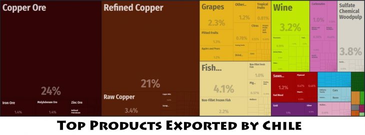 Top Products Exported by Chile