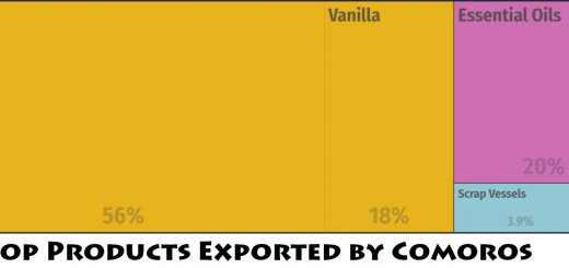Top Products Exported by Comoros