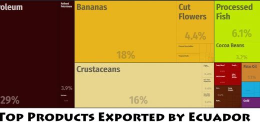Top Products Exported by Ecuador