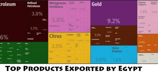 Top Products Exported by Egypt
