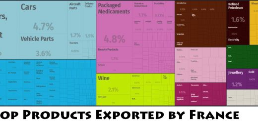 Top Products Exported by France