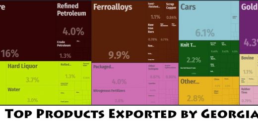 Top Products Exported by Georgia