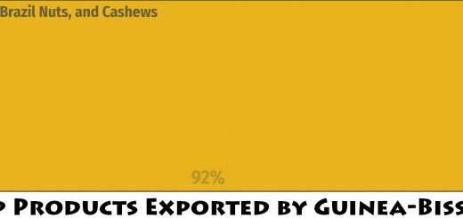 Top Products Exported by Guinea-Bissau