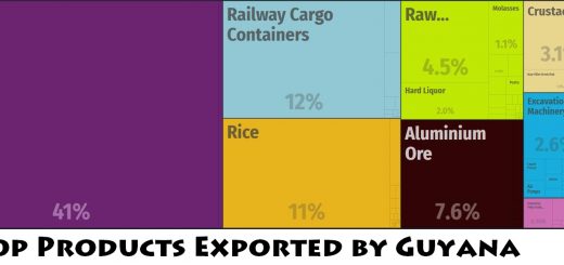 Top Products Exported by Guyana