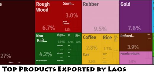 Top Products Exported by Laos