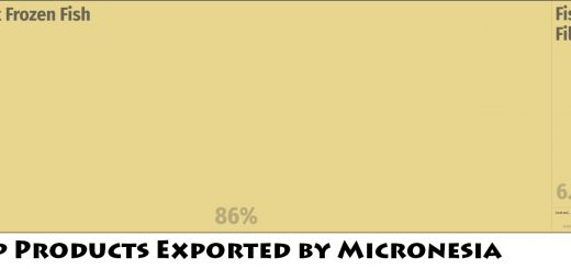 Top Products Exported by Micronesia