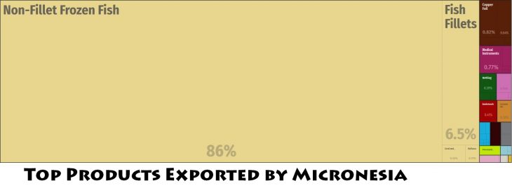 Top Products Exported by Micronesia