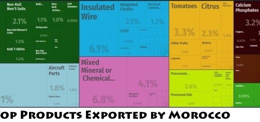 Top Products Exported by Morocco