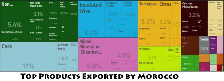 Top Products Exported by Morocco
