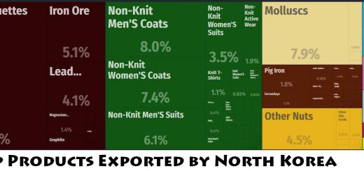Top Products Exported by North Korea