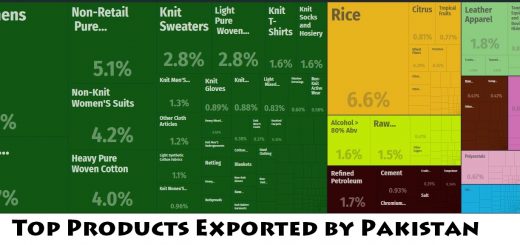 Top Products Exported by Pakistan