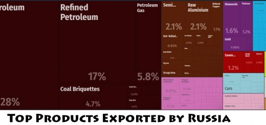 Top Products Exported by Russia