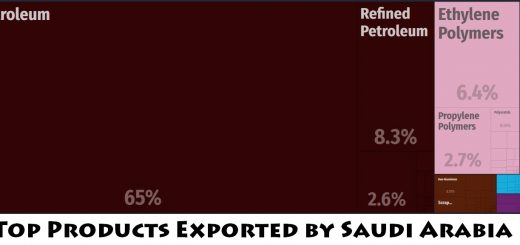 Top Products Exported by Saudi Arabia