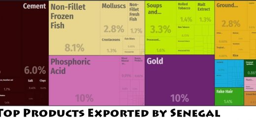 Top Products Exported by Senegal