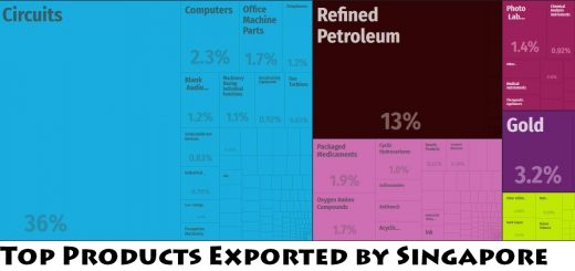 Top Products Exported by Singapore