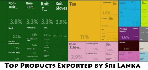 Top Products Exported by Sri Lanka