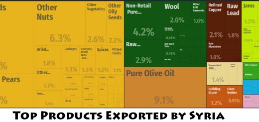 Top Products Exported by Syria