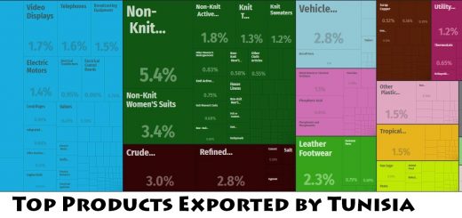 Top Products Exported by Tunisia