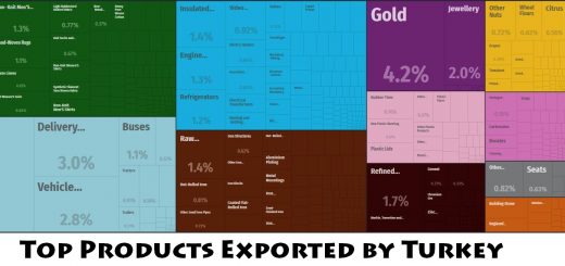 Top Products Exported by Turkey