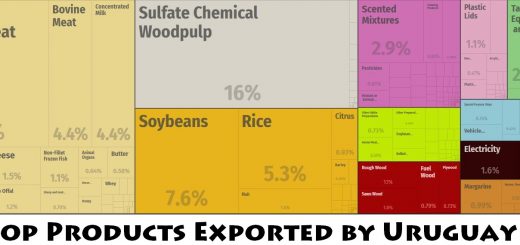 Top Products Exported by Uruguay