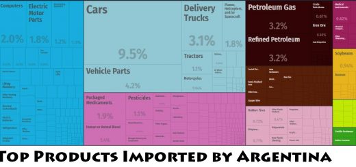Top Products Imported by Argentina