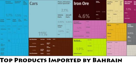 Top Products Imported by Bahrain