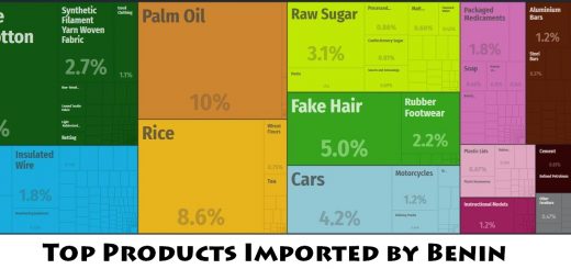 Top Products Imported by Benin