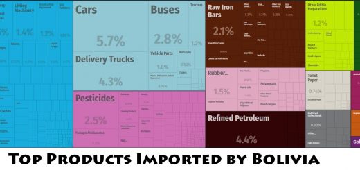 Top Products Imported by Bolivia