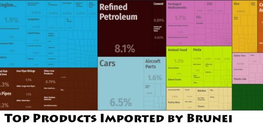 Top Products Imported by Brunei