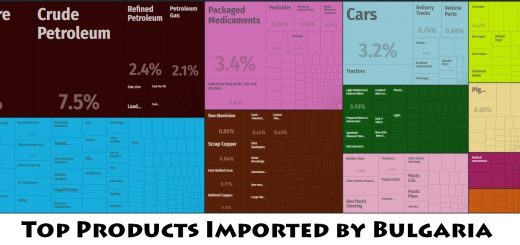 Top Products Imported by Bulgaria