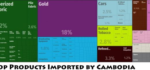 Top Products Imported by Cambodia