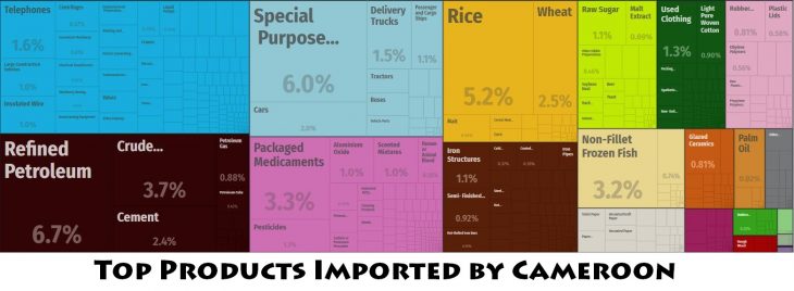 Top Products Imported by Cameroon