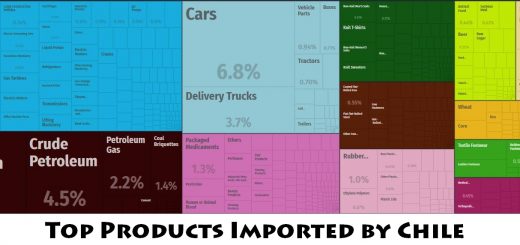 Top Products Imported by Chile