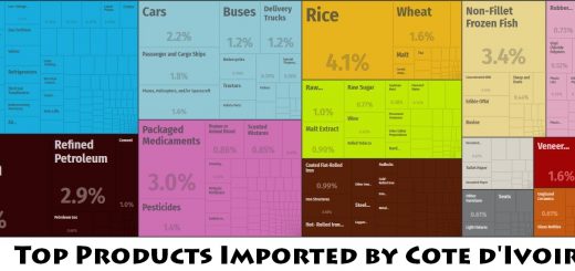 Top Products Imported by Cote d'Ivoire