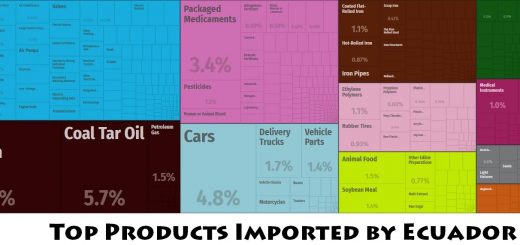 Top Products Imported by Ecuador