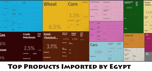 Top Products Imported by Egypt