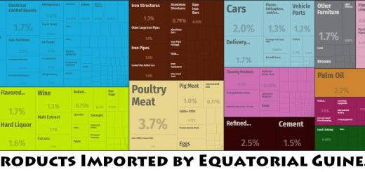 Top Products Imported by Equatorial Guinea
