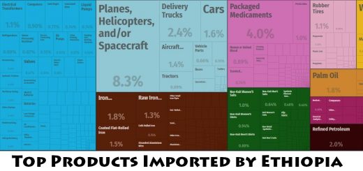 Top Products Imported by Ethiopia